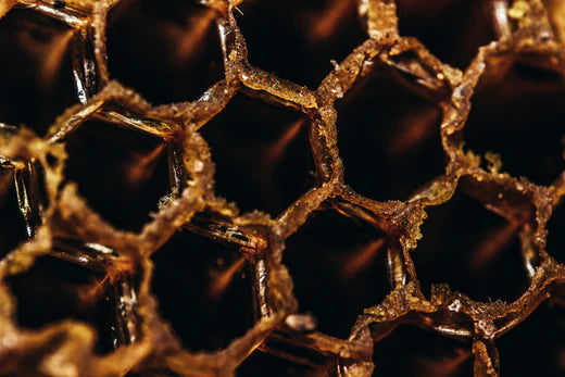 close up of bee hive