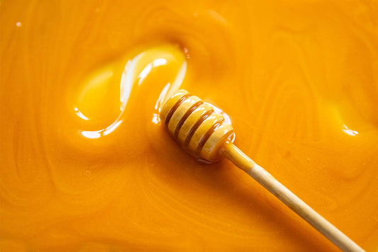 honey dipper in honey